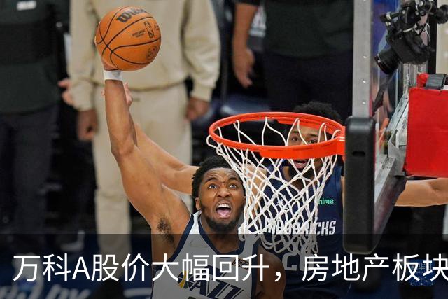 万科A股价大幅回升，房地产板块开始反弹