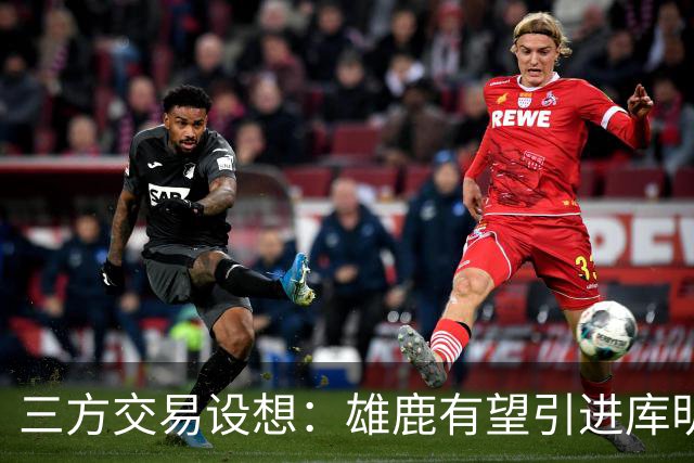 三方交易设想：雄鹿有望引进库明加