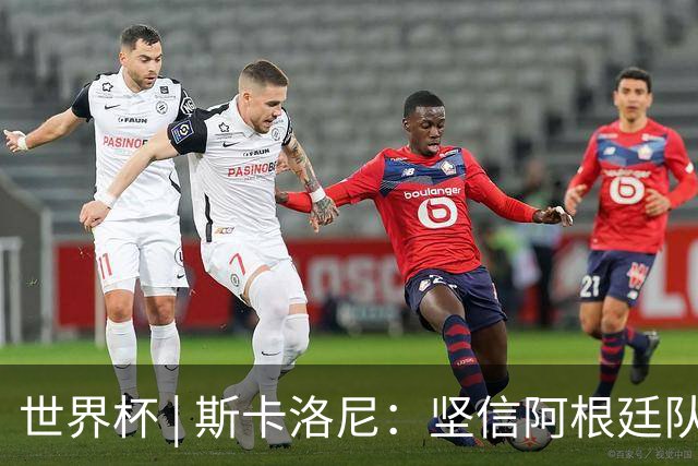 世界杯 | 斯卡洛尼：坚信阿根廷队会逆转