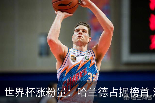 世界杯涨粉量：哈兰德占据榜首 沃齐尼亚粉丝涨幅97900%