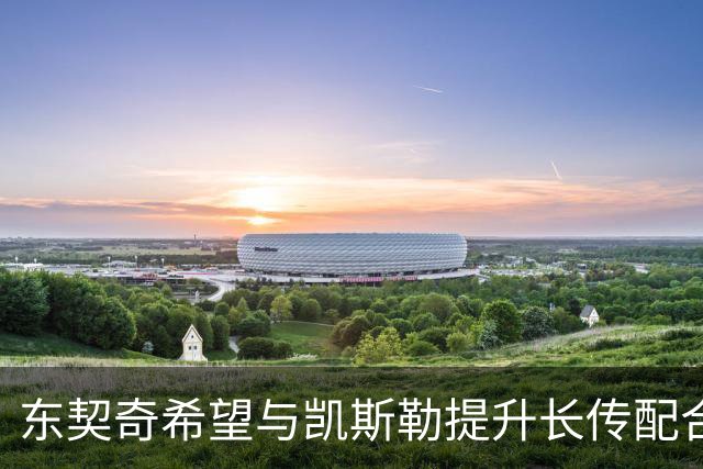东契奇希望与凯斯勒提升长传配合技艺