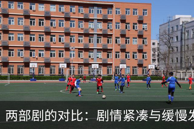 两部剧的对比：剧情紧凑与缓慢发展之异
