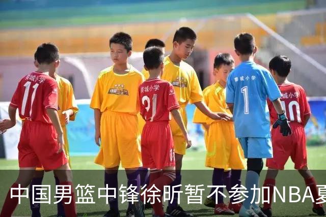 中国男篮中锋徐昕暂不参加NBA夏季联赛