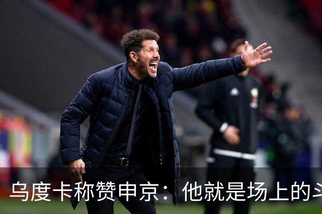 乌度卡称赞申京：他就是场上的斗士
