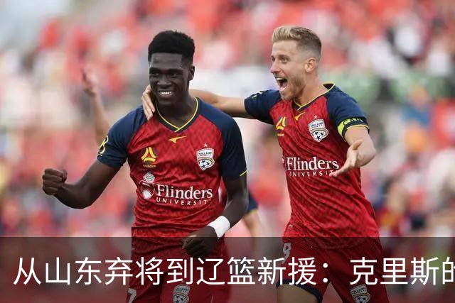 从山东弃将到辽篮新援：克里斯的救赎之门，赵继伟是关键钥匙
