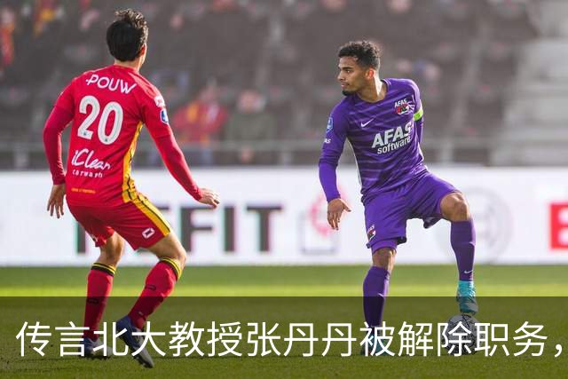 传言北大教授张丹丹被解除职务，网友反应不一