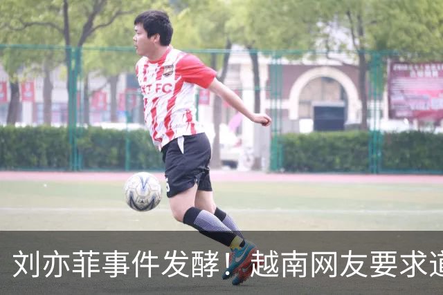 刘亦菲事件发酵！越南网友要求道歉，品牌方做出回应