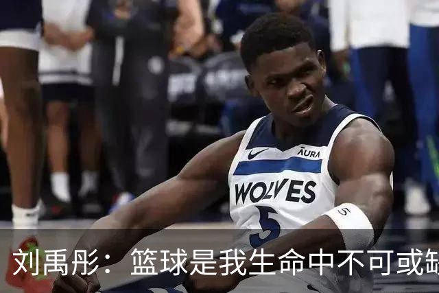 刘禹彤：篮球是我生命中不可或缺的一部分