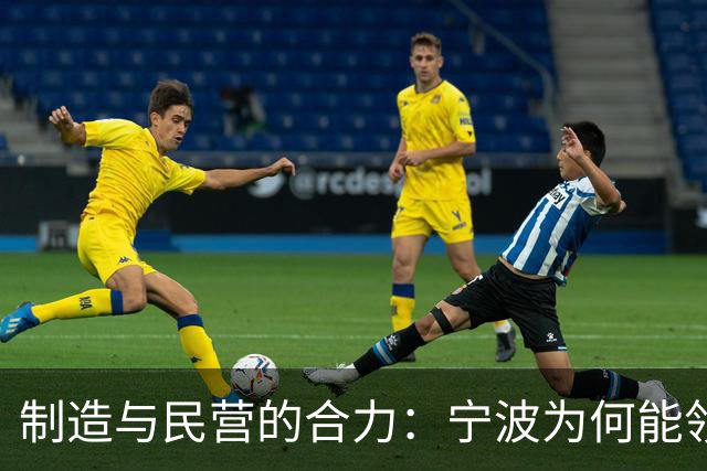 制造与民营的合力：宁波为何能领跑全国