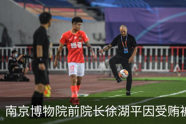 南京博物院前院长徐湖平因受贿被判刑