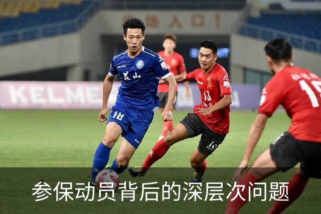 参保动员背后的深层次问题