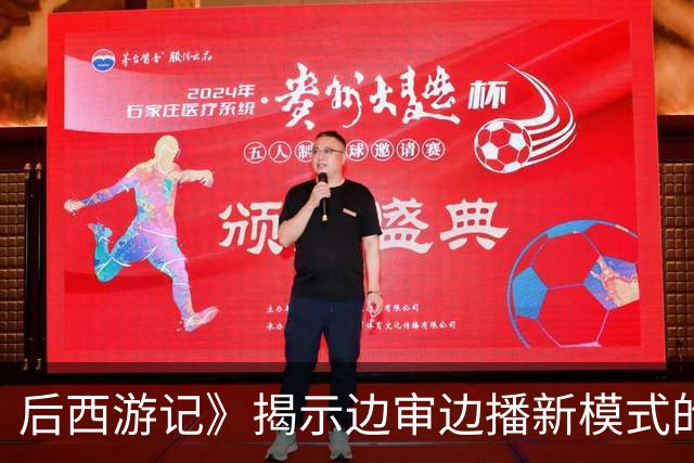 后西游记》揭示边审边播新模式的潜力与挑战