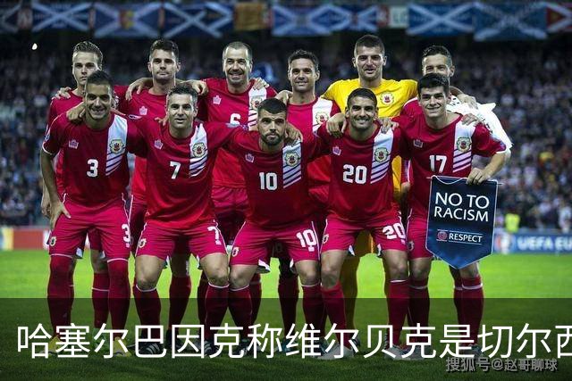 哈塞尔巴因克称维尔贝克是切尔西的重要补充
