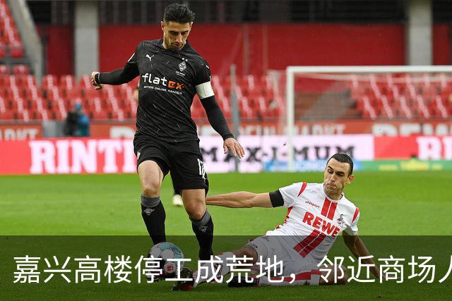 嘉兴高楼停工成荒地，邻近商场人迹罕至
