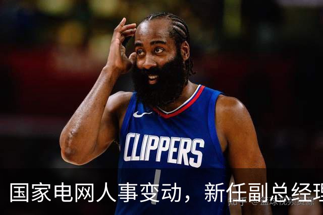 国家电网人事变动，新任副总经理上任