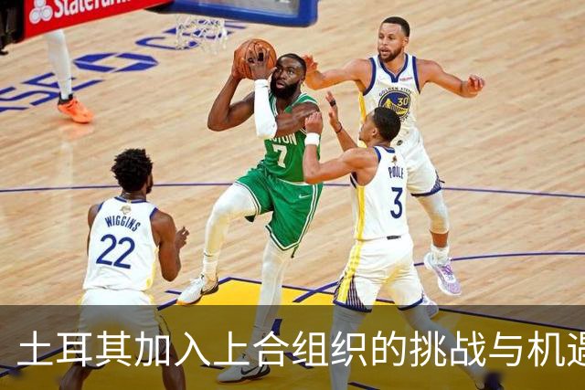 土耳其加入上合组织的挑战与机遇