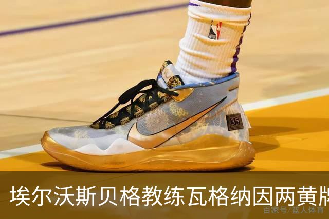 埃尔沃斯贝格教练瓦格纳因两黄牌被罚，或将缺席拜仁之战