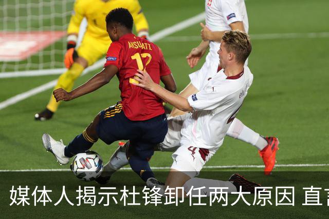 媒体人揭示杜锋卸任两大原因 直言仕途一片光明