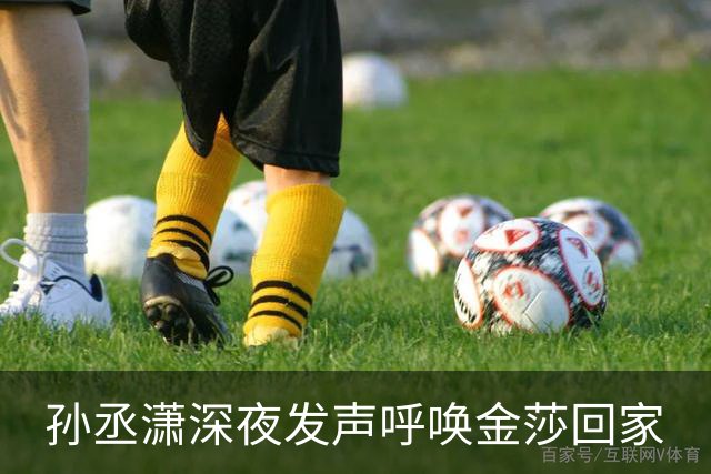 孙丞潇深夜发声呼唤金莎回家