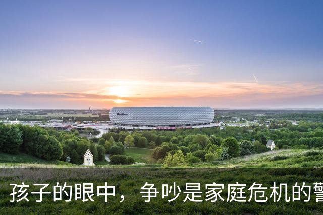 孩子的眼中，争吵是家庭危机的警报