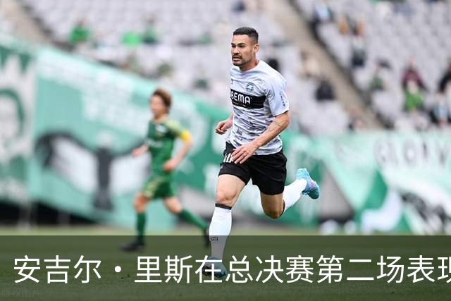 安吉尔·里斯在总决赛第二场表现耀眼，防守成焦点