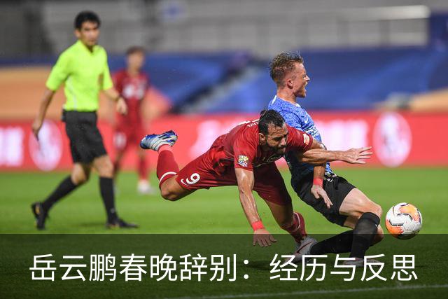 岳云鹏春晚辞别：经历与反思