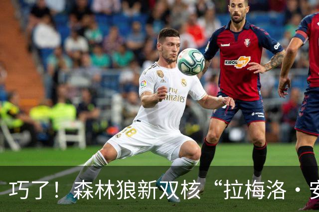 巧了！森林狼新双核“拉梅洛·安东尼” 与“甜瓜”安东尼很相似