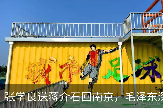 张学良送蒋介石回南京，毛泽东深知其中隐情