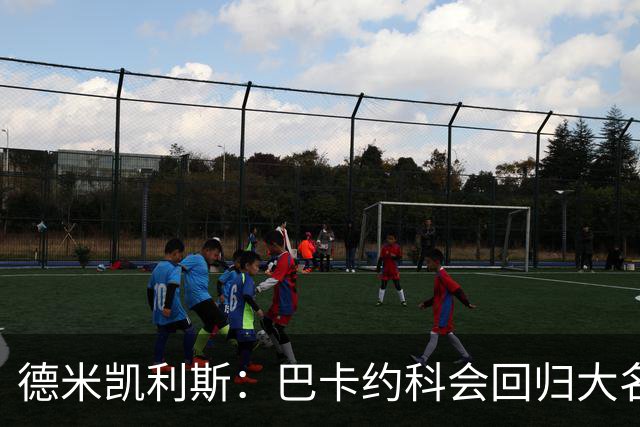 德米凯利斯：巴卡约科会回归大名单，球队状态良好
