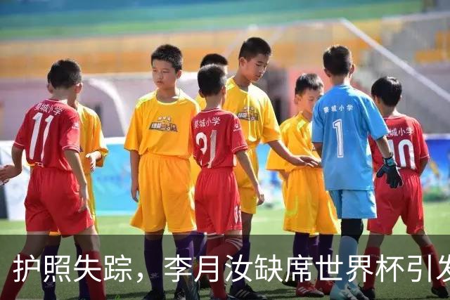护照失踪，李月汝缺席世界杯引发的深思
