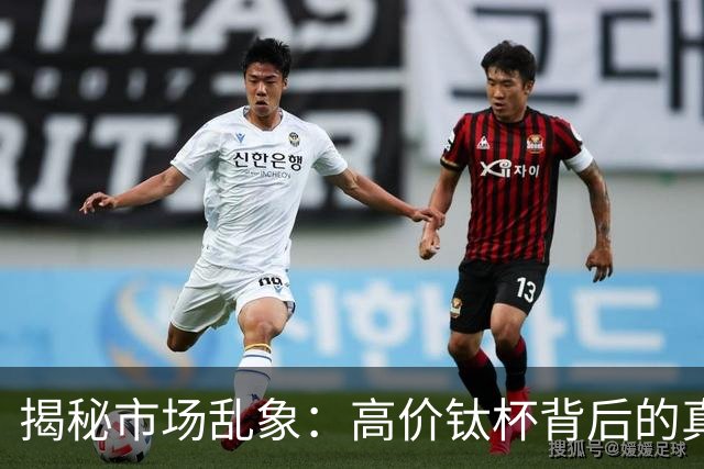 揭秘市场乱象：高价钛杯背后的真相与风险