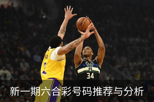 新一期六合彩号码推荐与分析
