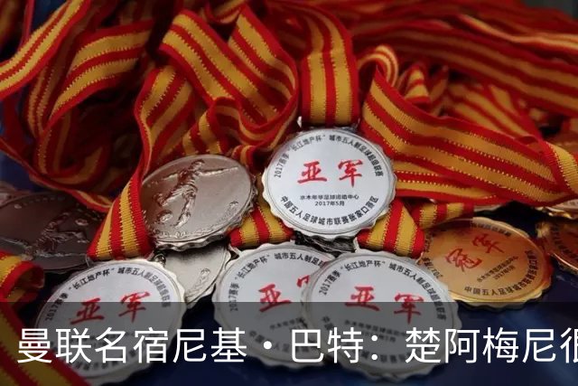 曼联名宿尼基·巴特：楚阿梅尼很适合曼联，夏窗红魔应尽全力引进