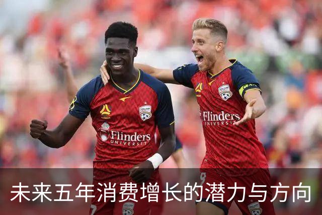 未来五年消费增长的潜力与方向