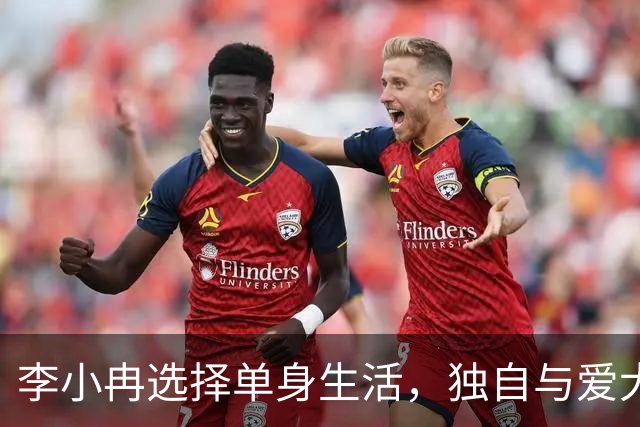 李小冉选择单身生活，独自与爱犬享受安静时光