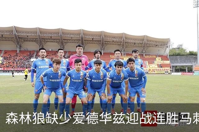 森林狼缺少爱德华兹迎战连胜马刺
