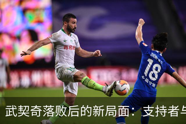武契奇落败后的新局面：支持者与反对派的结合与未来挑战