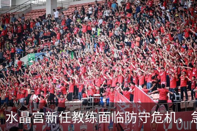 水晶宫新任教练面临防守危机，急需改进