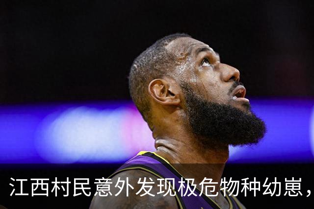 江西村民意外发现极危物种幼崽，竟是中华穿山甲