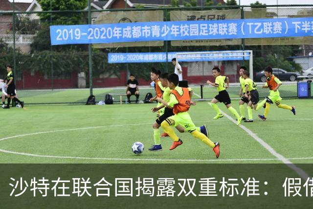 沙特在联合国揭露双重标准：假借和平名义秘密支持胡塞