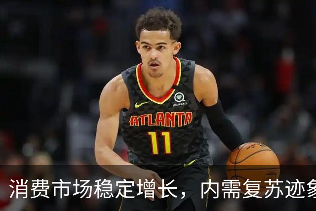 消费市场稳定增长，内需复苏迹象初现