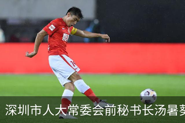 深圳市人大常委会前秘书长汤暑葵辞去市人大代表职务