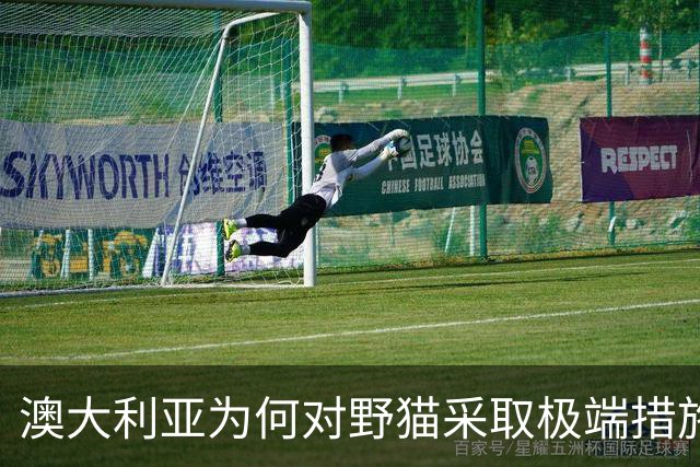 澳大利亚为何对野猫采取极端措施？