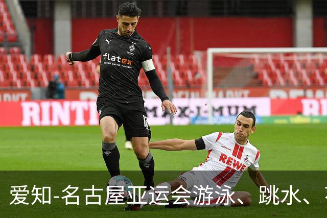 爱知-名古屋亚运会游泳、跳水、花游项目中国队参赛名单公示