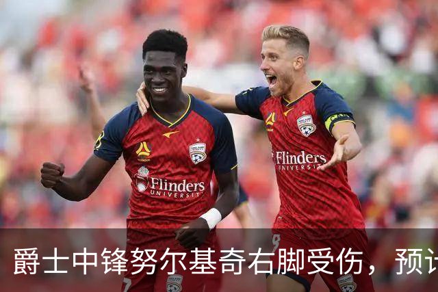 爵士中锋努尔基奇右脚受伤，预计缺阵至少四周