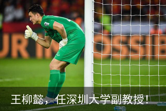 王柳懿，任深圳大学副教授！