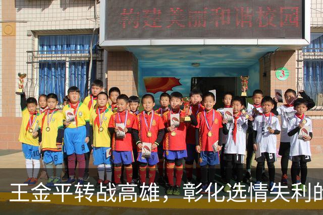 王金平转战高雄，彰化选情失利的深层原因