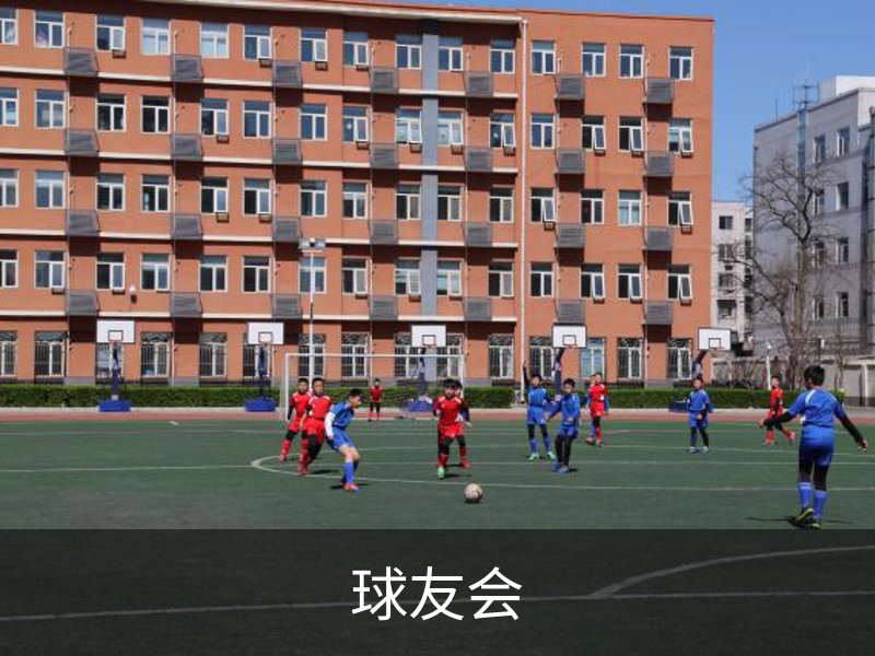 球友会概况