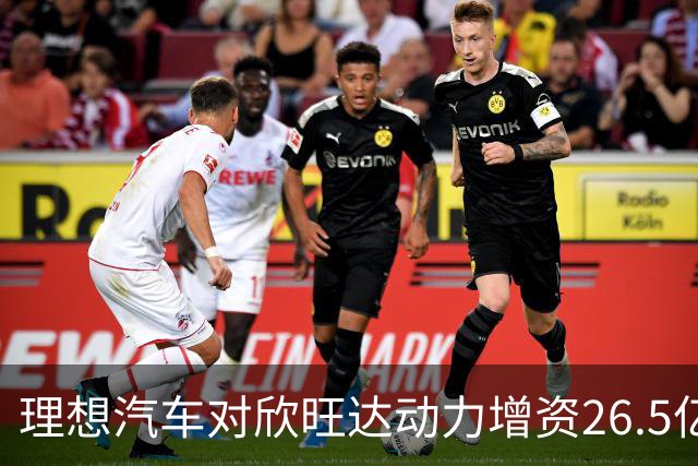 理想汽车对欣旺达动力增资26.5亿元，成为第二大股东