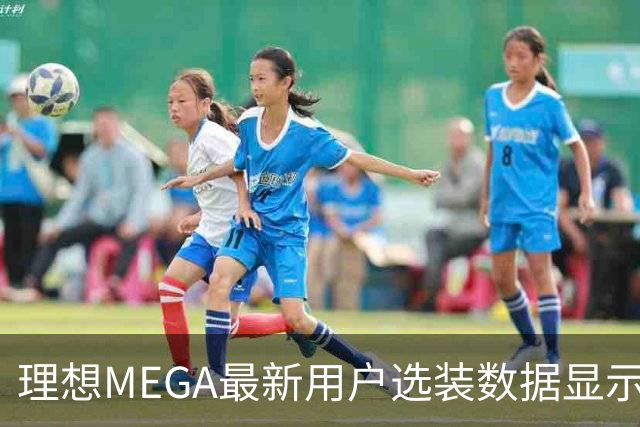理想MEGA最新用户选装数据显示飞碟轮毂受热捧